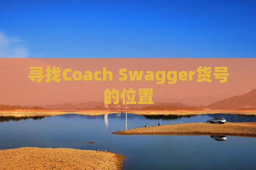 寻找Coach Swagger货号的位置
